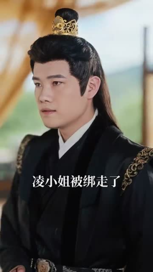 穿越王妃逆袭攻略(76集) 穿越王妃逆袭攻略(76集)疯批男主
