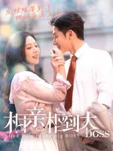 相亲相到大boss(101集) 相亲相到大boss(101集)太好看了