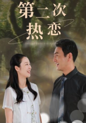 第二次热恋(48集) 第二次热恋(48集)病娇男主