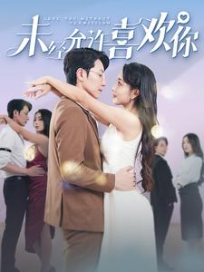 未经允许喜欢你（100集）什么剧情