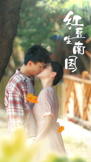红豆生南国（53集）王者归来
