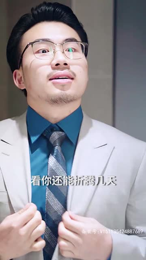 饼总逆袭（100集）免费资源