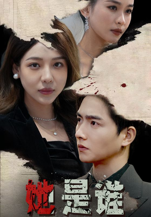她是谁(79集) 她是谁(79集)退婚流