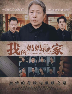 我的妈妈我的家（66集）喜剧