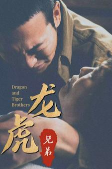 龙虎兄弟（80集）好看吗