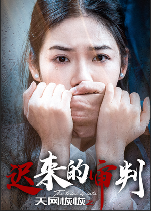 天网恢恢之迟来的审判（31集）霸总天花板