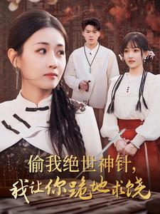 偷我绝世神针，我让你跪地求饶（30集）隐世高人