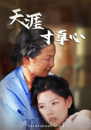 天涯寸草心（76集）通勤追剧