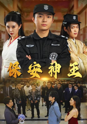 保安神王（67集）权谋短剧