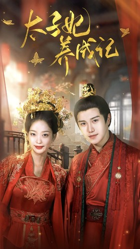太子妃养成记（97集）搞笑短剧