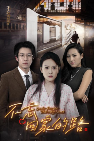 不忘回家的路(61集) 不忘回家的路(61集)零差评