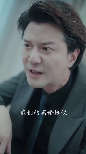 被隐藏的宝贝（51集）女频短剧