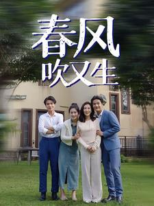 春风吹又生(56集) 春风吹又生(56集)快节奏