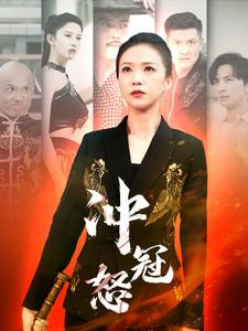 冲冠怒（93集）太绝了