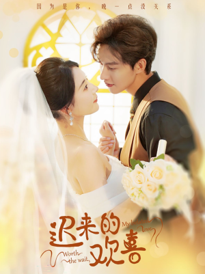 迟来的欢喜(81集) 迟来的欢喜(81集)年度最佳短剧