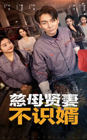 慈母贤妻不识婿(45集) 慈母贤妻不识婿(45集)言情剧天花板