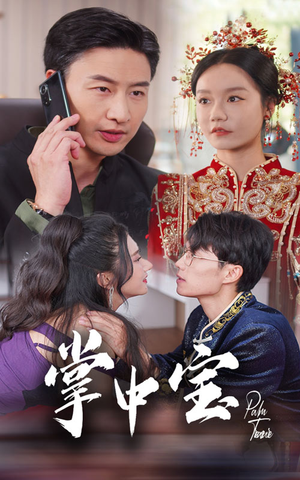 掌中宝(31集) 掌中宝(31集)1-300集全