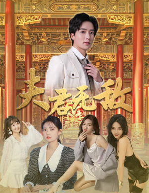 夫君无敌（100集）网盘下载