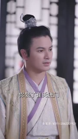 大宋小郎君（92集）智能投屏电视端适配版