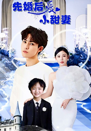 先婚后爱小甜妻（100集）太扎心了