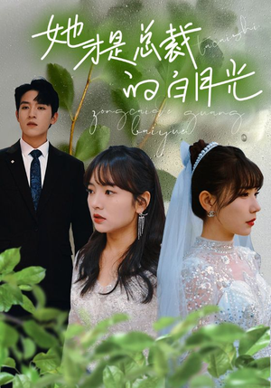 她才是总裁的白月光（90集）演员名短剧