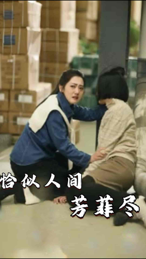 恰似人间芳菲尽（68集）男频短剧