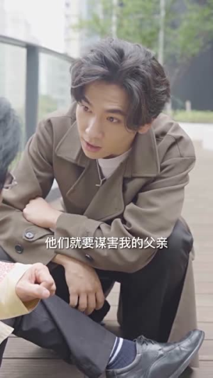 至尊崛起（92集）豪门