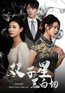 双子星黑白切(82集) 双子星黑白切(82集)先婚后爱