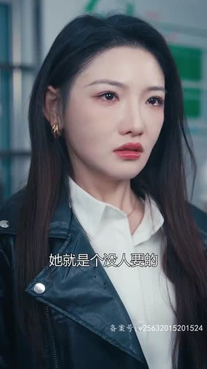 特工夫妇(82集) 特工夫妇(82集)高清版