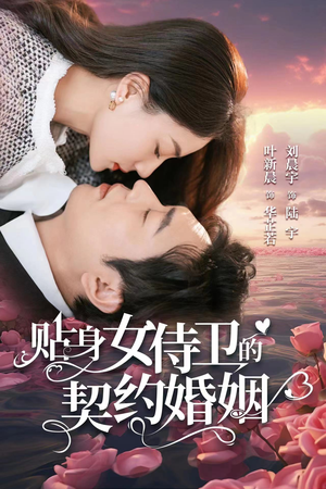 贴身女侍卫的契约婚姻（91集）上线3天登顶热度榜第一