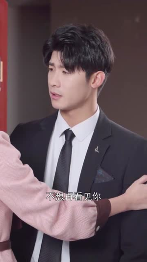 原来我们相爱过(40集) 原来我们相爱过(40集)连载短剧