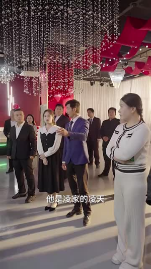 龙之子(100集) 龙之子(100集)原声台词版无配音版