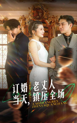 订婚当天，老丈人镇压全场（29集）快穿短剧