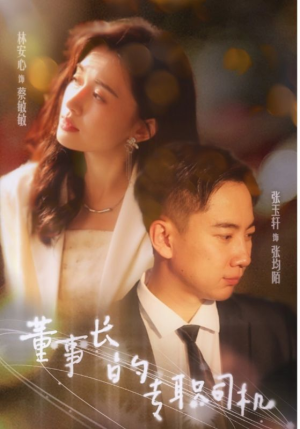 董事长的专职司机（51集）百看不厌