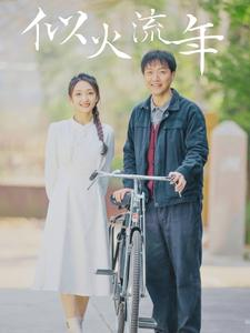 似火流年（100集）极速秒播