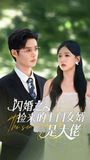 闪婚之捡来的上门女婿是大佬（79集）律政短剧