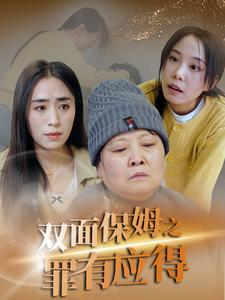 双面保姆之罪有应得（17集）凤凰男