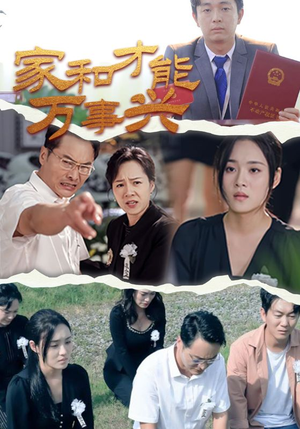 家和才能万事兴（30集）高燃短剧