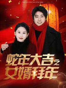 蛇年大吉之女婿拜年（88集）百度网盘高清下载