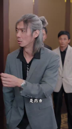 白夜追凶之龙兄虎弟&龙虎之喋血追凶（80集）太魔幻了