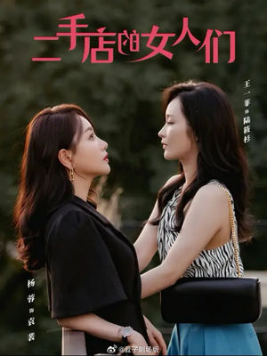 二手店的女人们&二十九(66集) 二手店的女人们&二十九(66集)太搞笑了