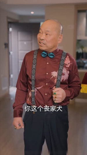 狂飙之惹不起的奶爸（99集）末世短剧