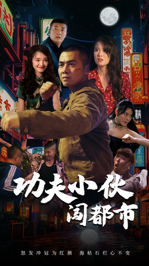 功夫小伙闯都市（51集）节奏紧凑