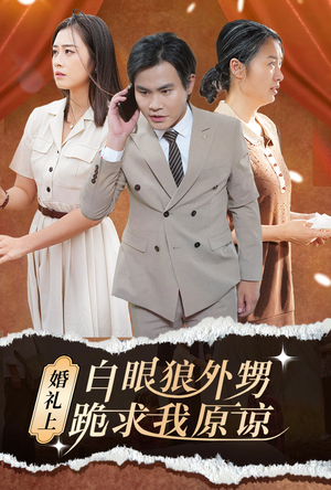 婚礼上白眼狼外甥跪求我原谅（35集）太好哭了