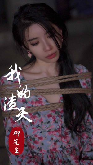 我的渣夫柳先生(80集) 我的渣夫柳先生(80集)大女主短剧