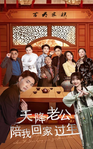 天降老公陪我回家过年(60集) 天降老公陪我回家过年(60集)口碑短剧