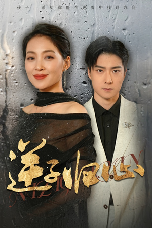 逆子归心(31集) 逆子归心(31集)限定剧集