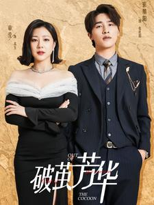 破茧芳华（80集）换脸梗