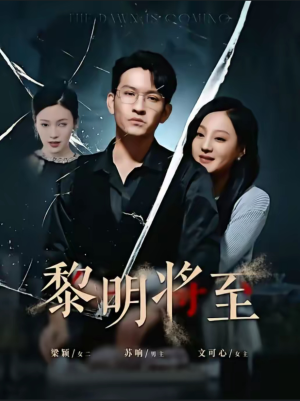 黎明将至(61集) 黎明将至(61集)不烂尾
