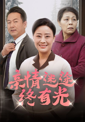 亲情迷途终有光（32集）平板追剧